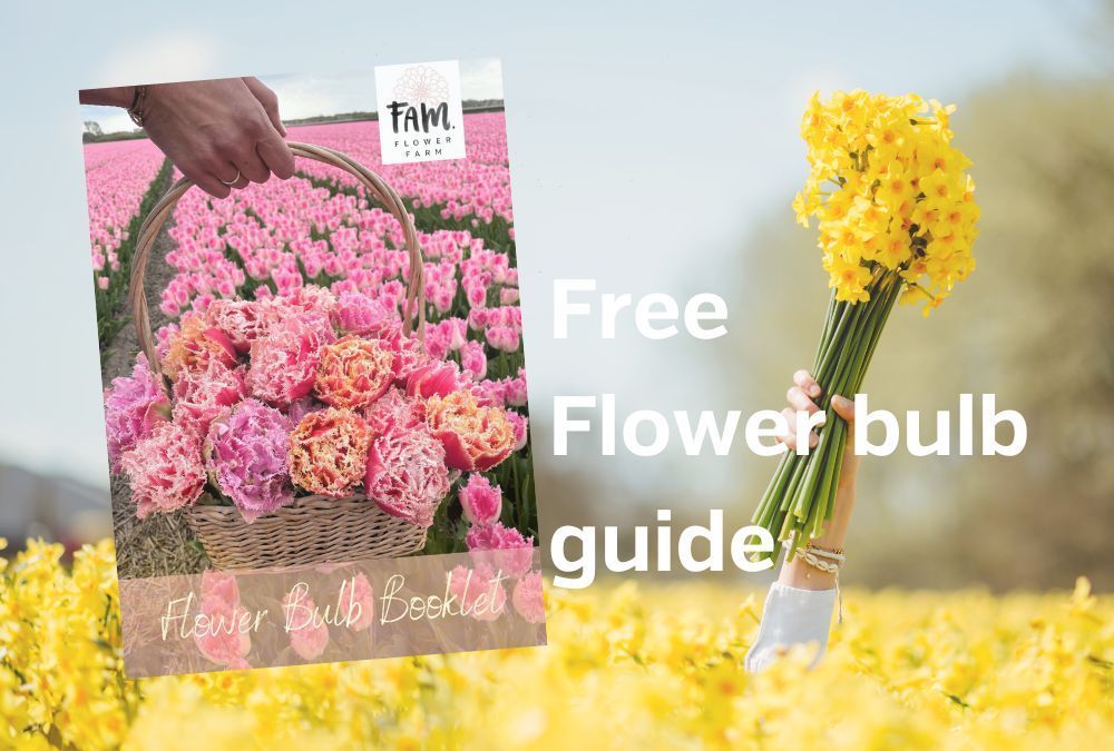 Free flowerbulb guide