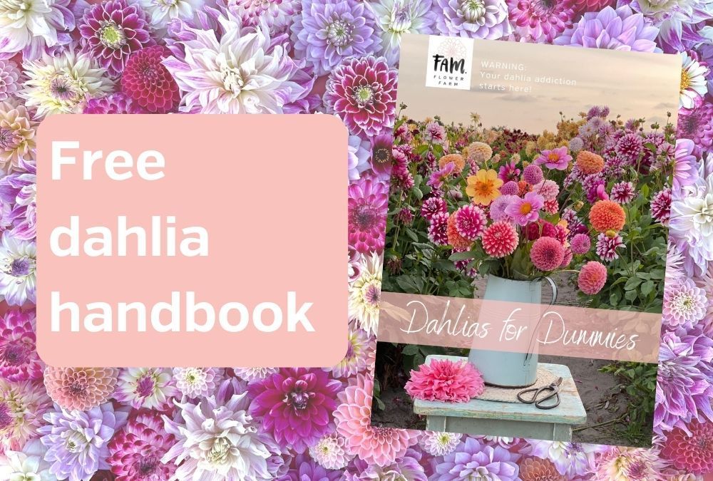 Free Dahlia guide