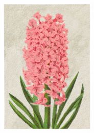Hyacinth Moreno