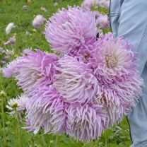 Dahlia Mingus Gregory
