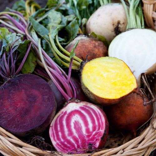 Beetroot Hula Hoop