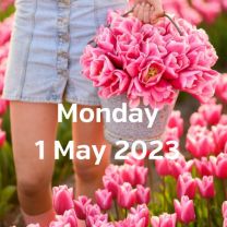 Visit tulip fields 1 May 2023
