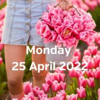 Visit tulip fields 25 april 2022
