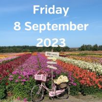 Visit dahlia fields 8 September 2023