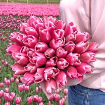 Pink tulip Milkshake