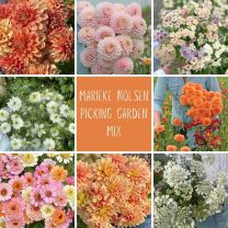 Mix Marieke's Picking Garden *