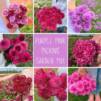 Mix Picking Garden - Purple pink