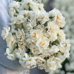 Daffodil Bridal Crown