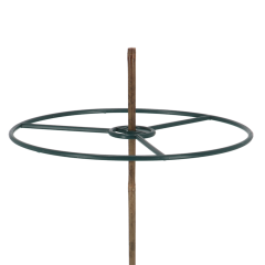 Plant ring bamboo sticks set of 2