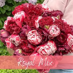Mix Royal