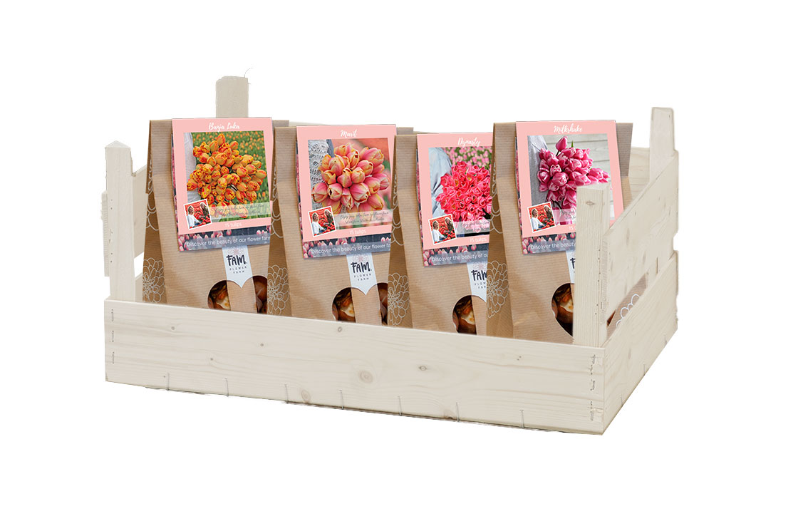 Display klein tulpenbollen
