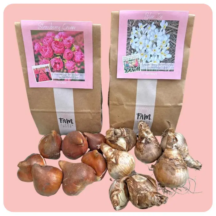 boembolen cadeau