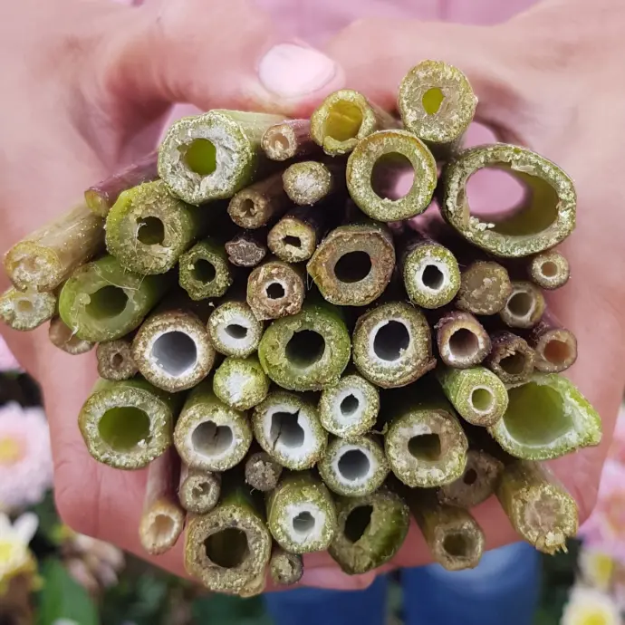 insectenhotel