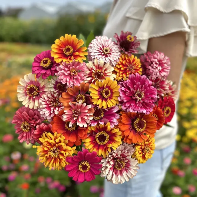 flower seeds