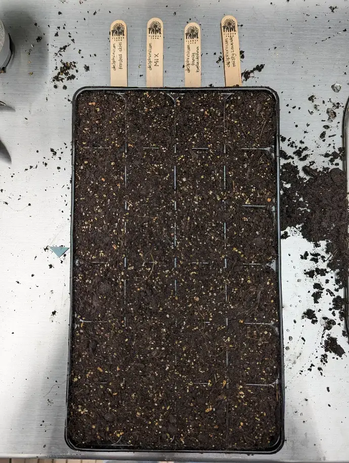 seed trays
