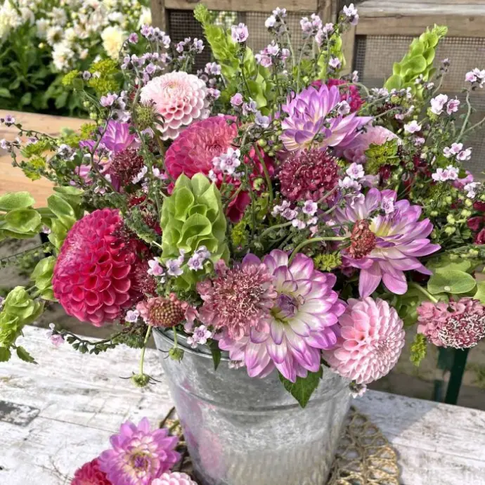 Cut Flower