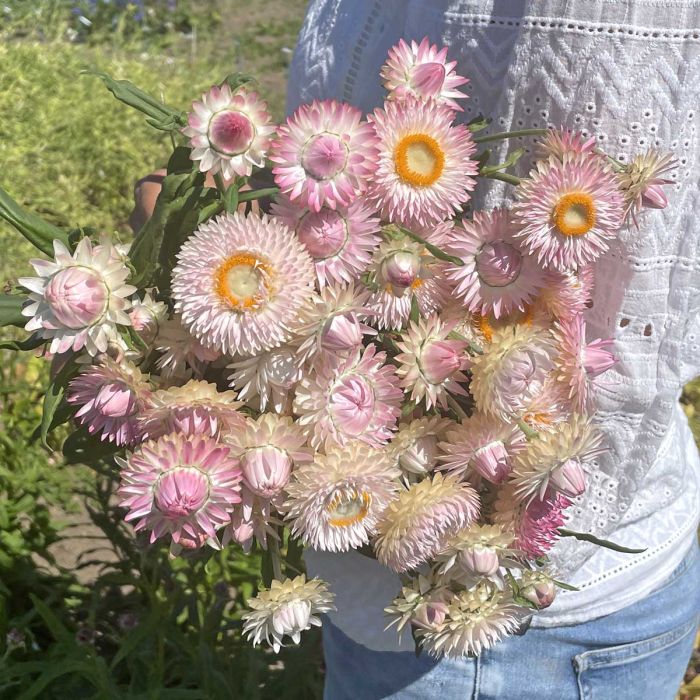 Dried flowers gift set
