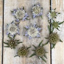 Dried flowers gift set