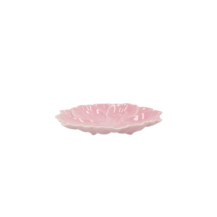 Cosmea pink S