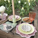 Daisy Green M