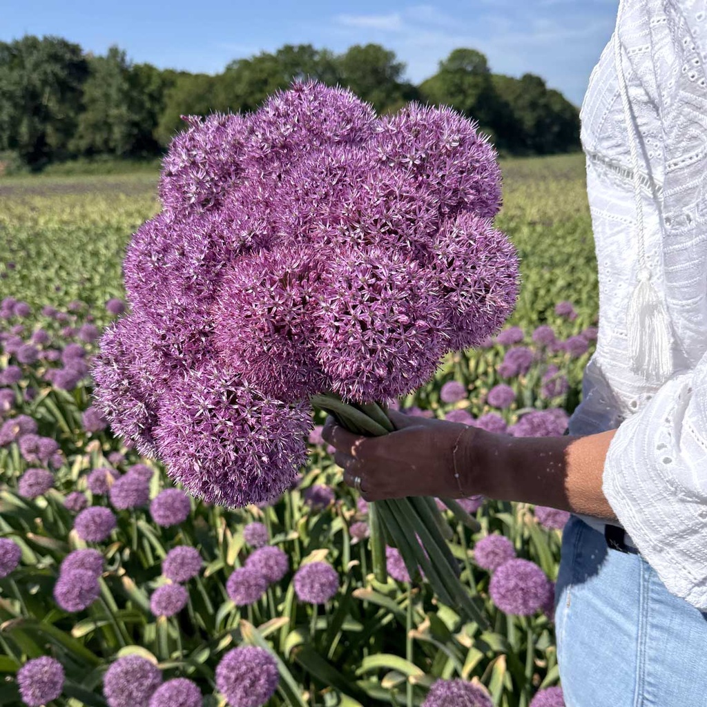 Allium Party Balloon