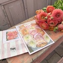Booklet The Joy of Ranunculus & Anemones
