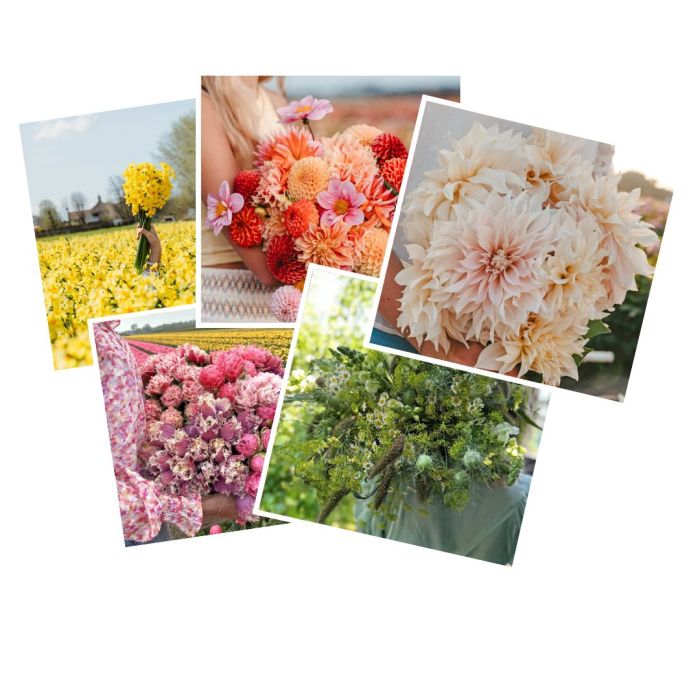 Set of 5 gift cards
