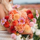 Mix Blooming Happiness (5 dahlias)