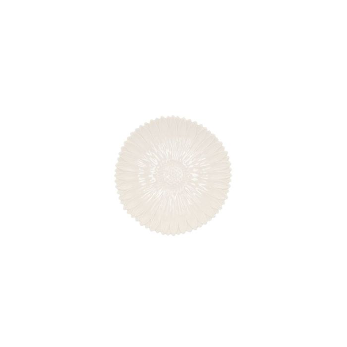 Daisy white S
