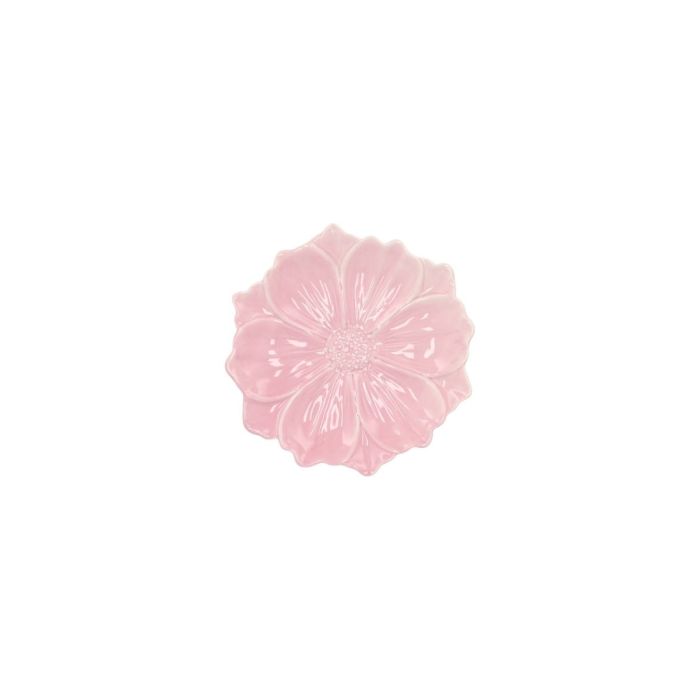 Cosmea pink S