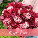 Mix Royal (30 bulbs)