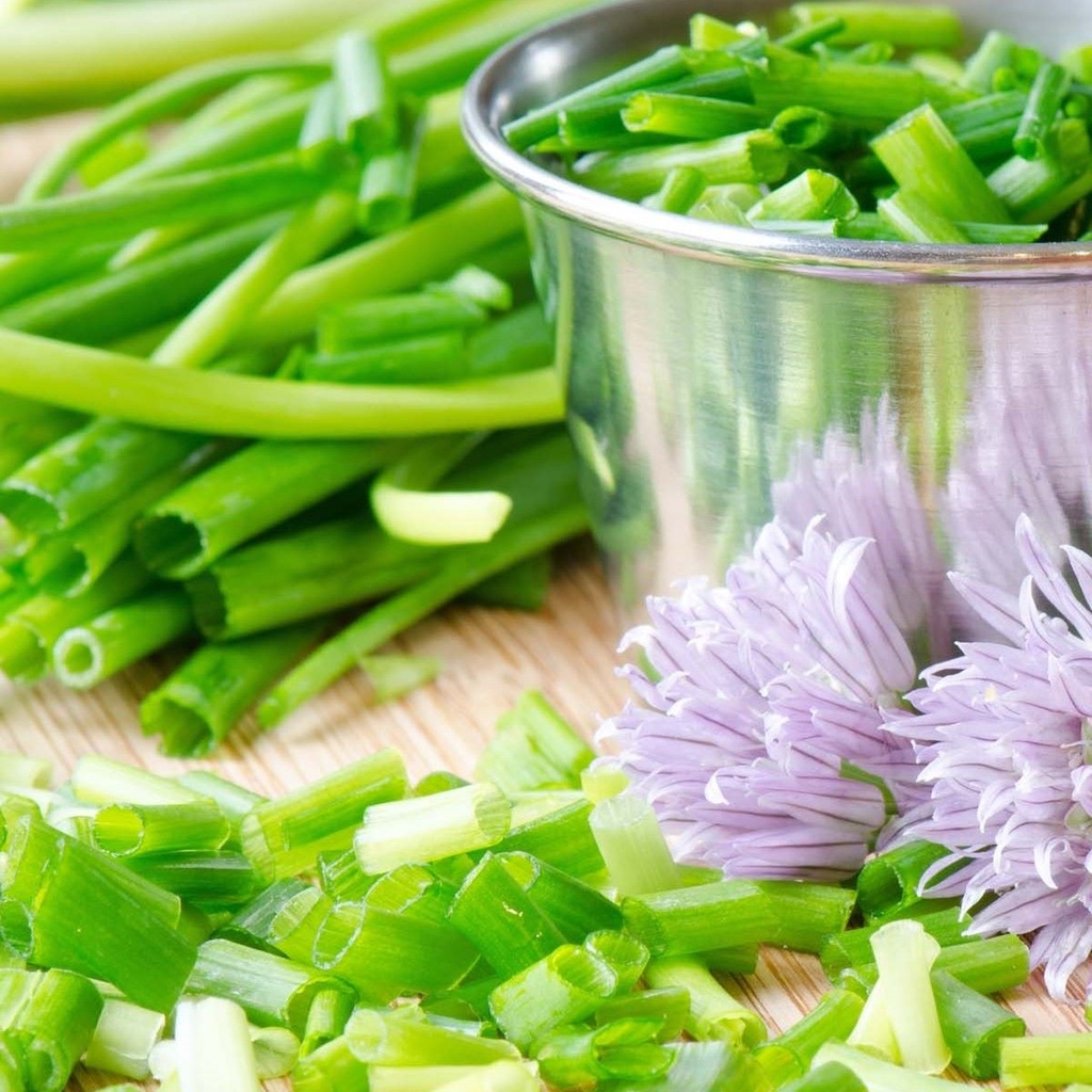 Chives Medium Leaf