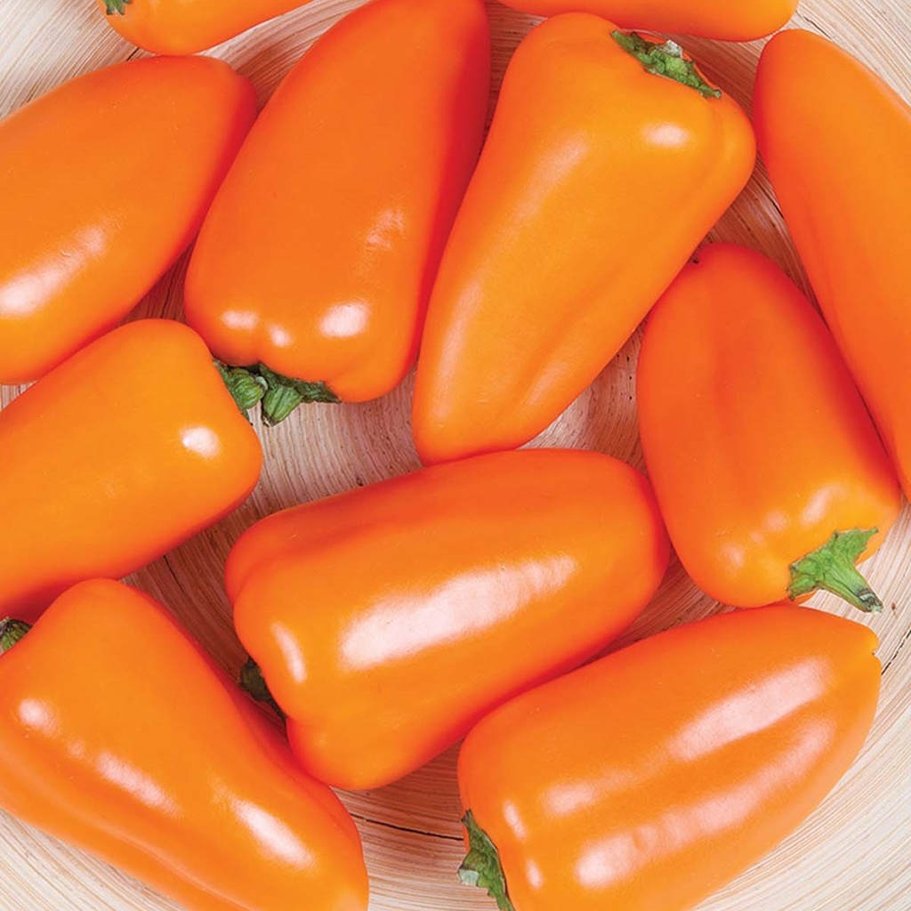Sweet Pepper Snacking mini orange