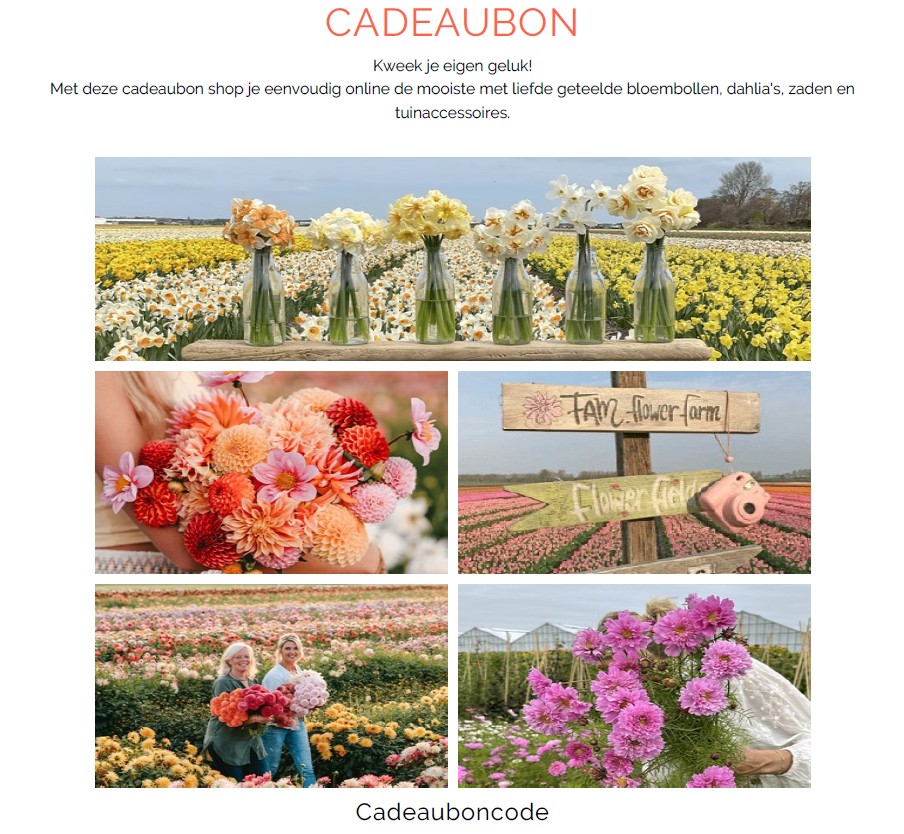 Gift voucher digital