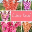 Mix Colour Boost