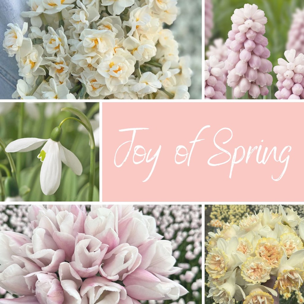 Joy of Spring