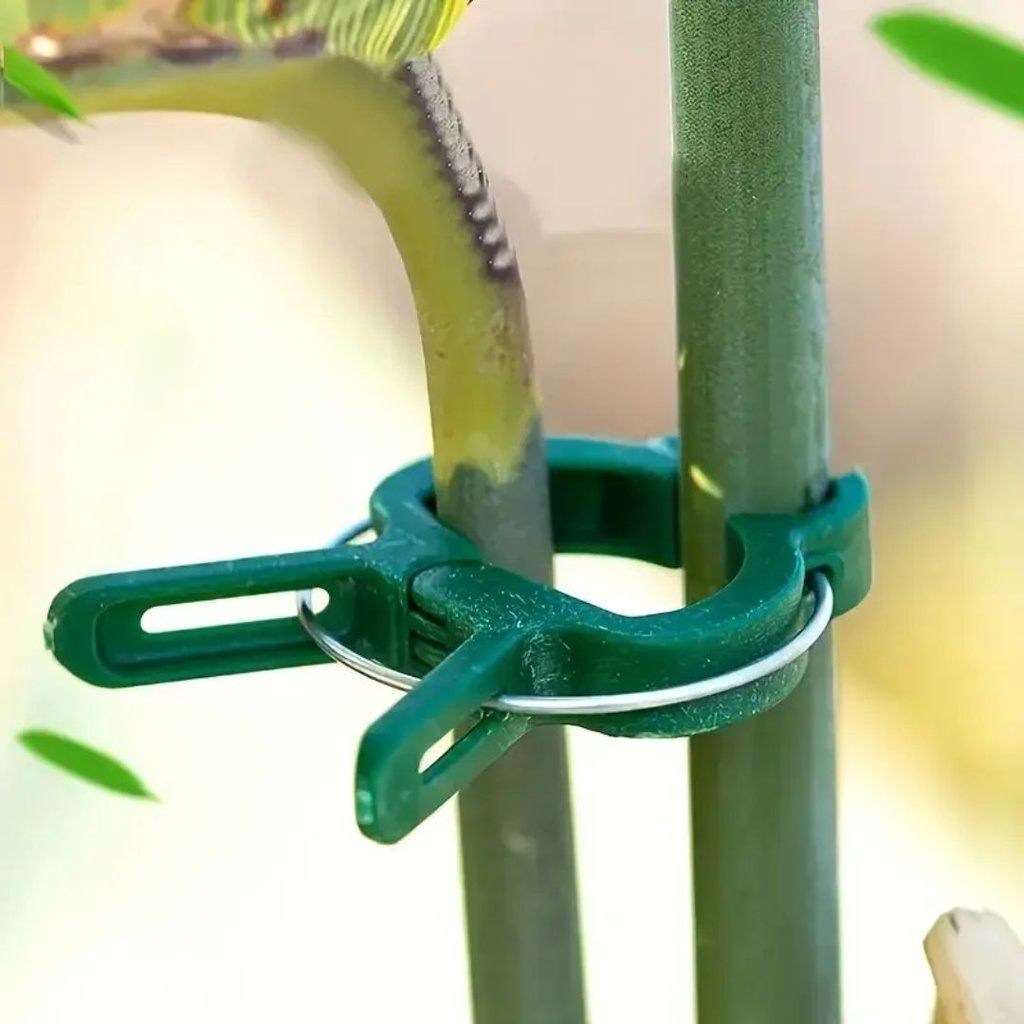 Plant Clips – Set of 10