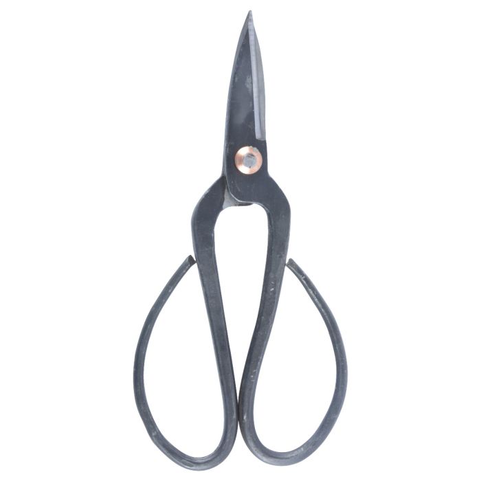 Hand scissors black